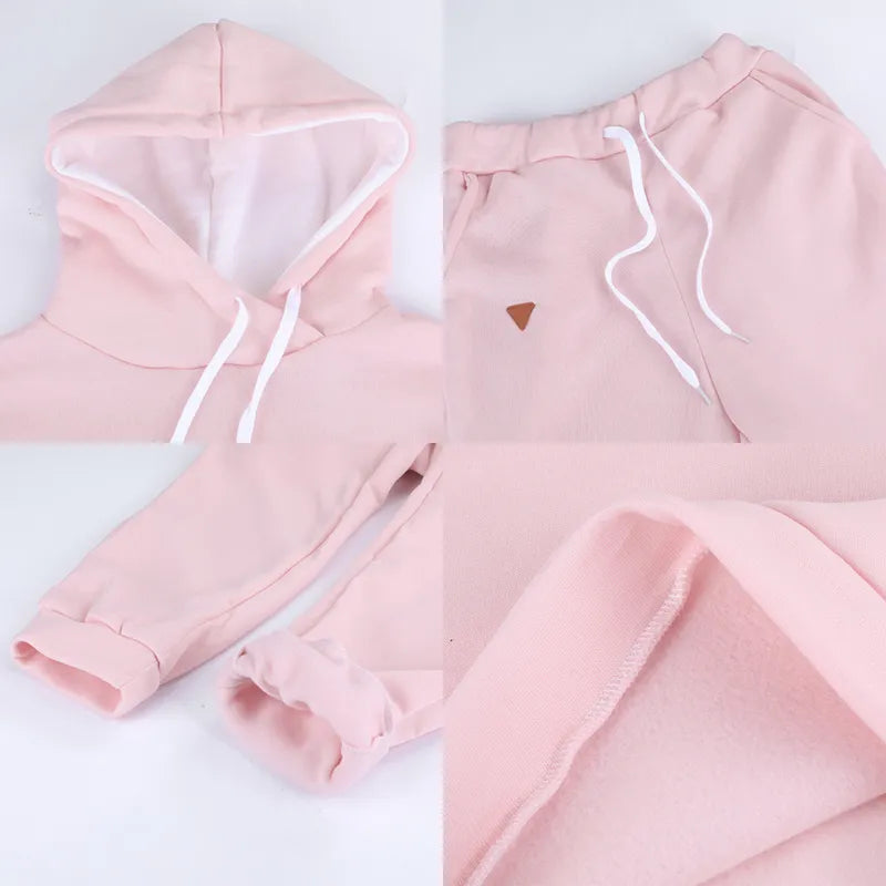 Autumn 2 Piece Tracksuit Women Sportswear Fleece Hoodies Pullover